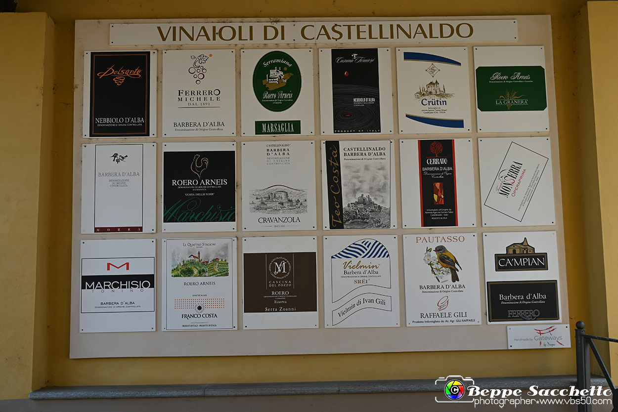 VBS_4461 - Castellinaldo d'Alba.jpg